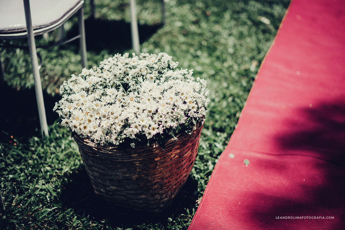 chacara-sitio-casamento-dia-natureza-arvore-quinta-bromelias-campinas