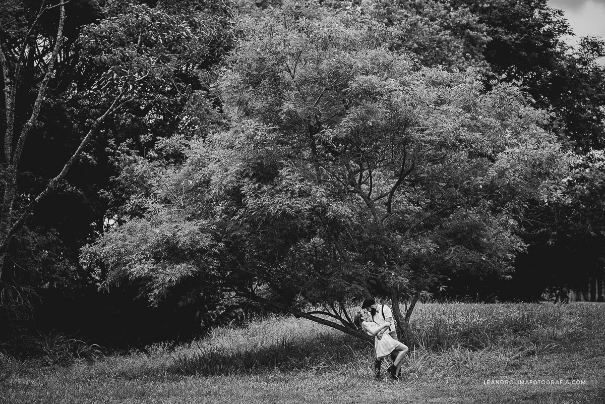 ensaio-casal-noivos-pre-wedding-casamento-fazenda-ipanema