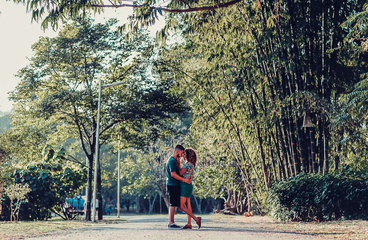 ensaio-fotografico-parque-ibirapuera-por-sol-fotografia-pre-casamento