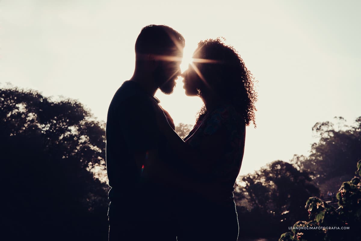 ensaio-fotografico-parque-ibirapuera-por-sol-fotografia-pre-casamento