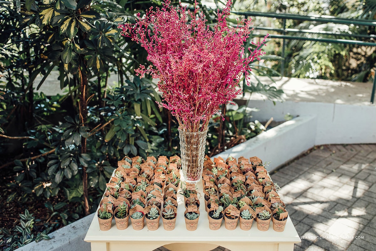 decoracao casamento ipjo igreja presbiteriana jardim das oliveiras vaso suculenta
