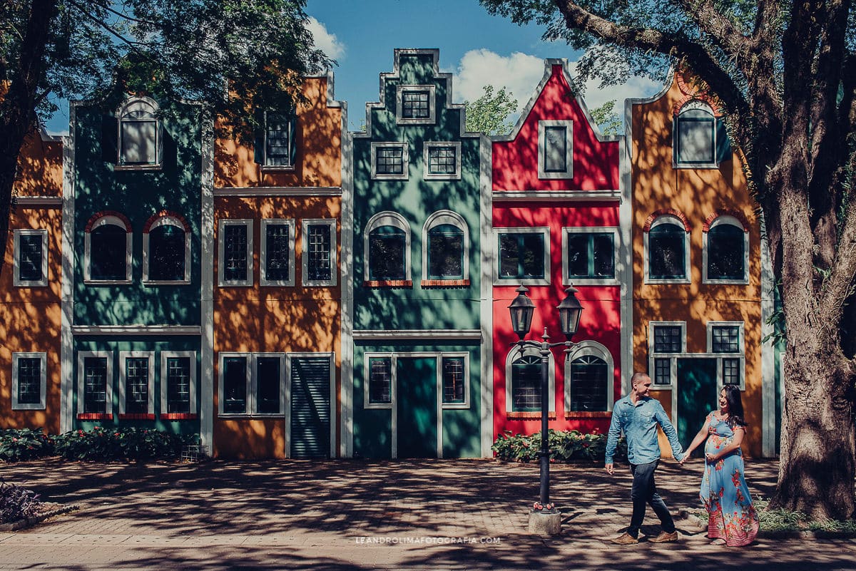 ensaio gestante holambra cidade das flores