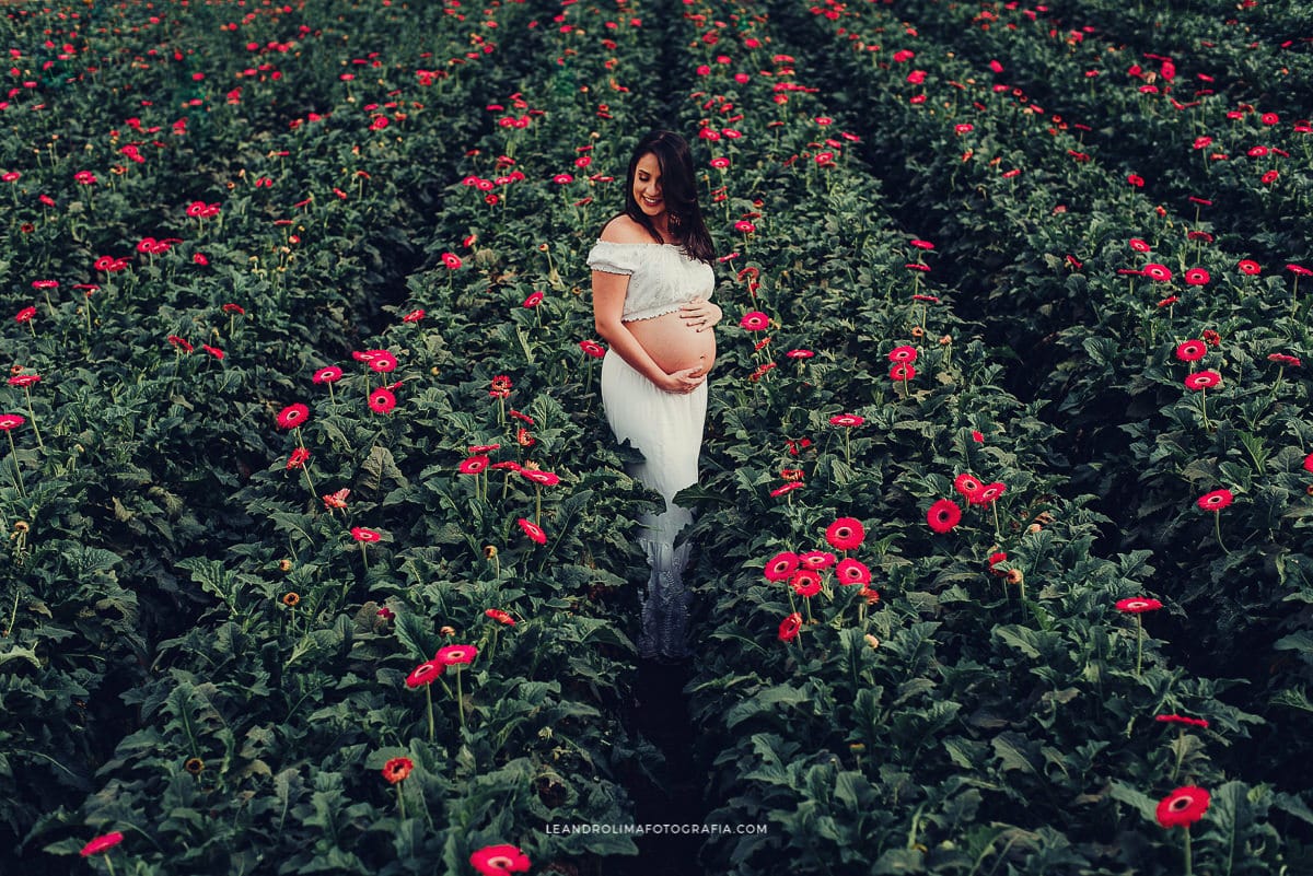 ensaio gestante holambra cidade das flores plantacao campo flores rosas